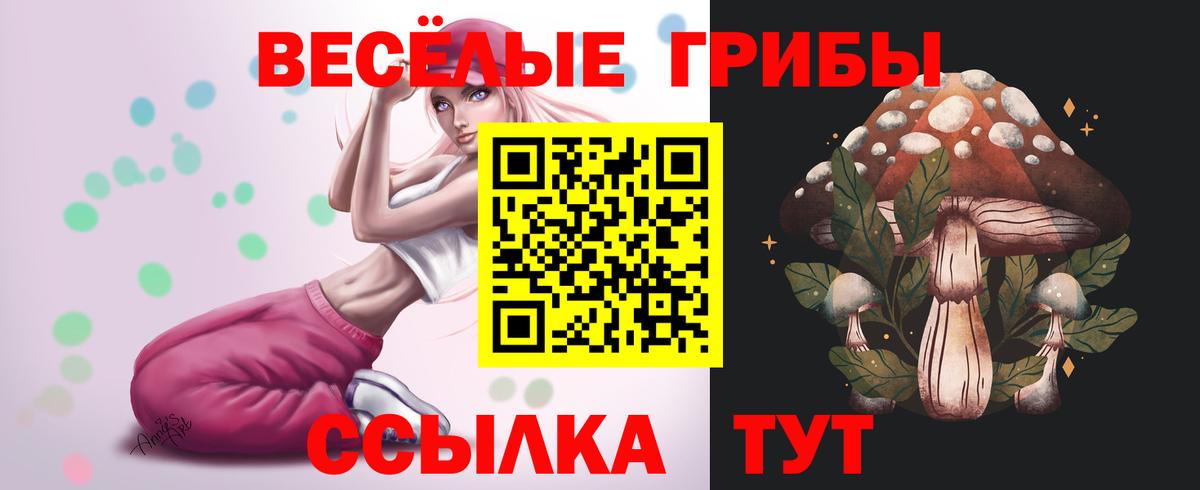 Псилоцибиновые грибы MAGIC MUSHROOMS Бугуруслан