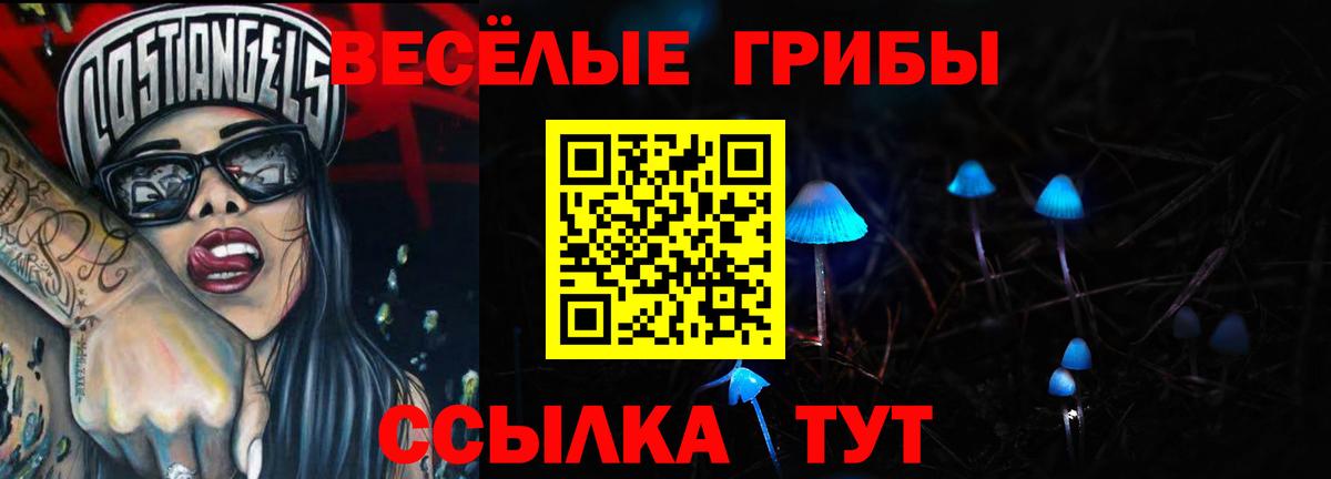 Бугуруслан  Псилоцибиновые грибы Psilocybe  Вход с VPN 